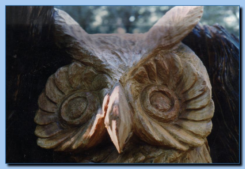 2-47 owl-archive-0002